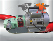 齿轮油泵 WCB型微型齿轮油泵厂家