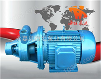 浙江旋涡泵 1W型单级旋涡泵厂家
