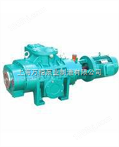 ZJP型罗茨真空泵（上海厂家价格，选型，说明）