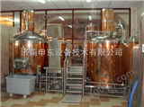 申东自酿啤酒设备500L啤酒设备